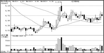 軟件開發(fā)在公司研究中的關(guān)鍵作用及實(shí)施策略